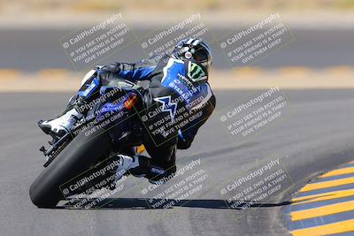 media/Oct-08-2022-SoCal Trackdays (Sat) [[1fc3beec89]]/Turn 11 Backside (1145am)/